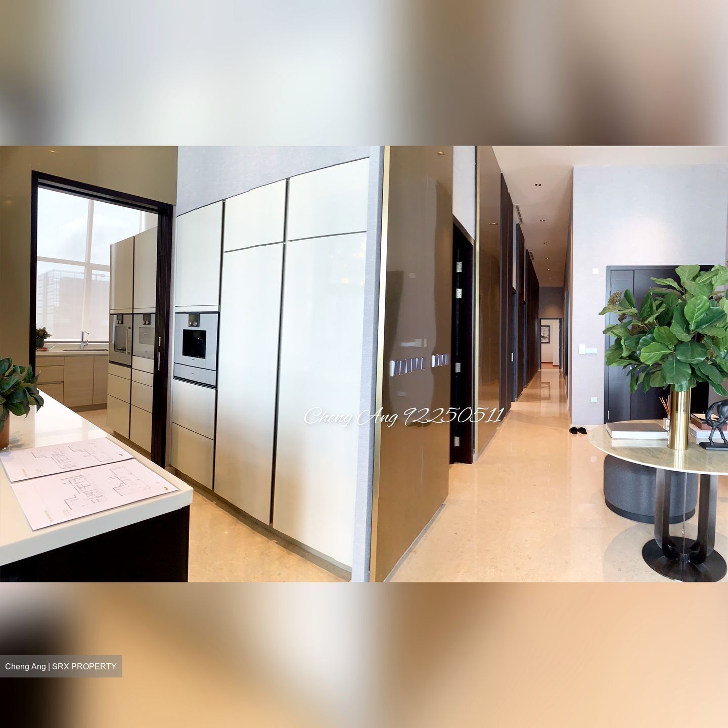 V On Shenton (D1), Apartment #455004541